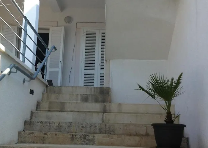 By The Sea Hvar - 24926 아파트 *